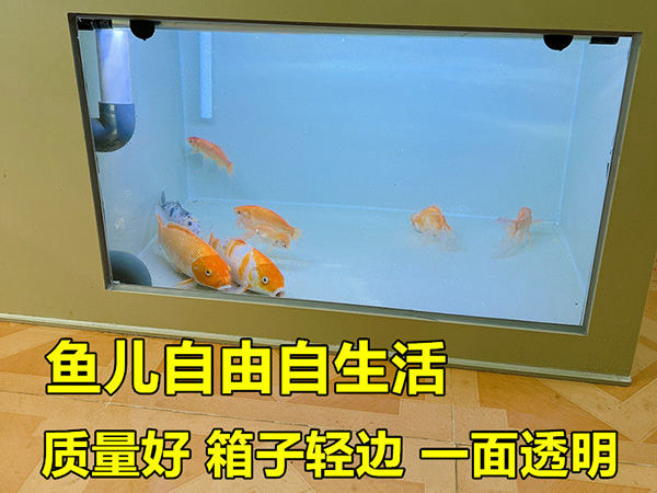 暫養(yǎng)池