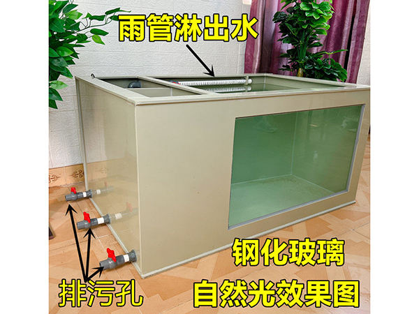 暫養(yǎng)池