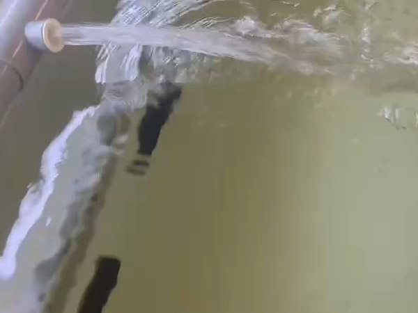 澳龍暫氧池 室內(nèi)養(yǎng)殖區(qū) 活魚箱養(yǎng)殖