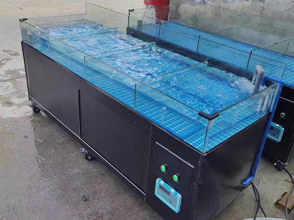 海鮮池  海鮮魚(yú)缸  酒店魚(yú)缸